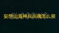 妄想山海神兵兵魂怎么装